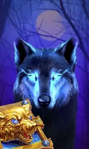 Book Of The Night Wolf